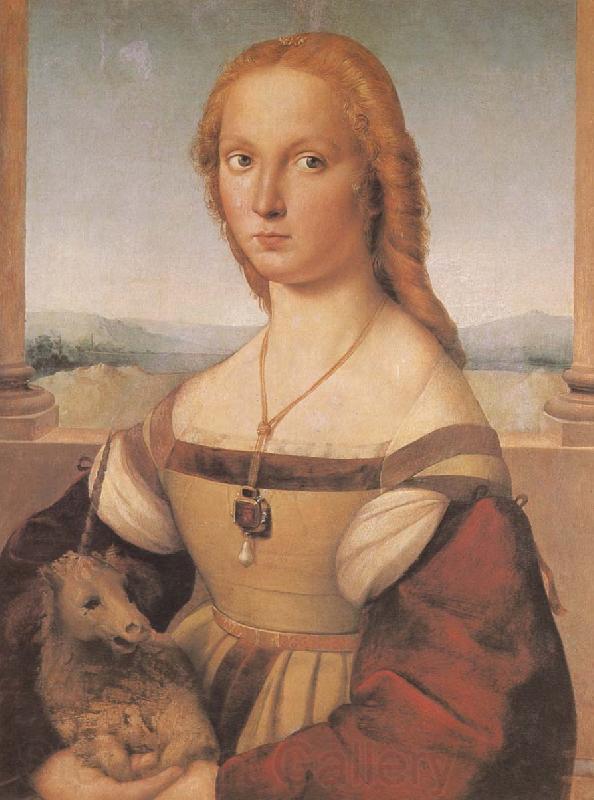 RAFFAELLO Sanzio Portrait of younger woman